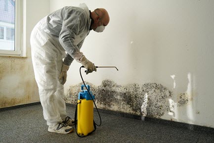 man cleaning after mold damage 