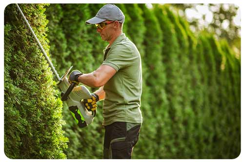 landscaper, trimming, hedges, garden maintenance, service.