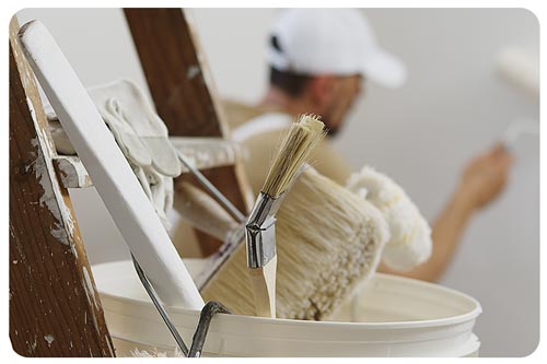 painter man decorator work of home to renovate