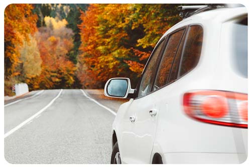 Best Car Insurance Quotes Newmarket