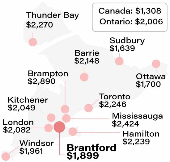 Average Brantford car insurance rate compared to other cities info graphic