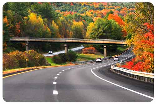 cars driving on a road with a view of autumn leaves