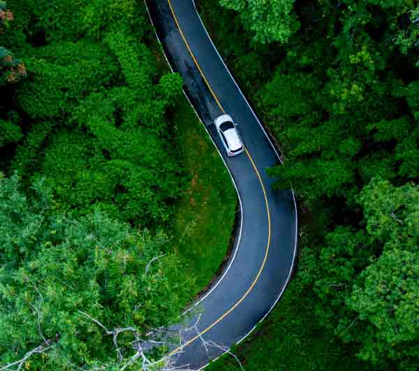 A white car driving on a winding road through a green forest.