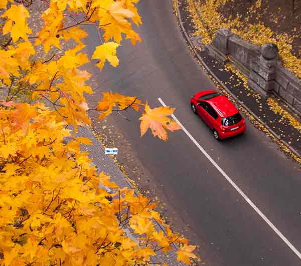 A red car travelling along a curved road lined with autumn leaves.