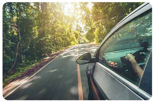 black car driving on road in forest