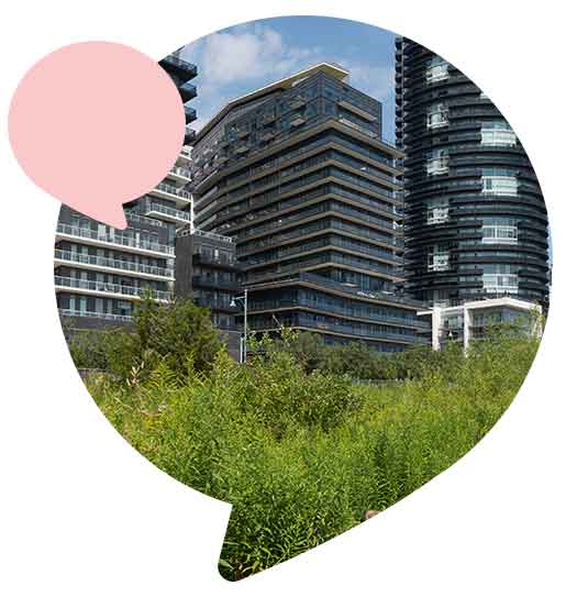 a view of the condominiums on the Lake Ontario in Toronto