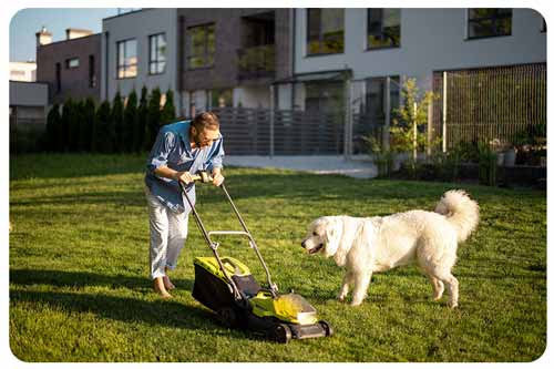man plays with a dog while mowing the lawn in the backyard