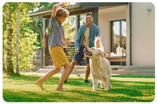 a family playing with their dog in the backyard
