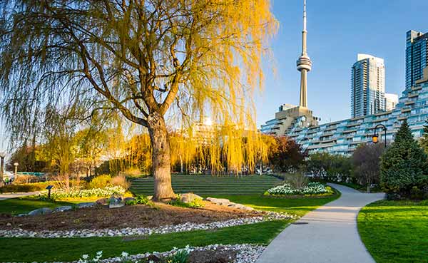 modern buildings at the Harbourfront in Toronto