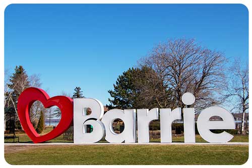 senior couple with their dog together at home