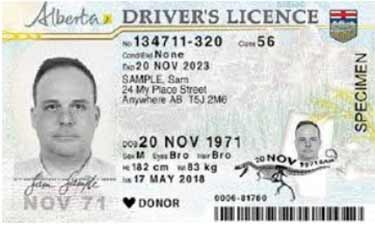 Alberta Drivers License Sample