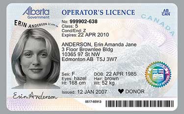 Alberta Drivers License 