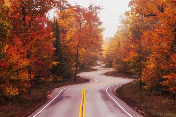 road with autumn leaves