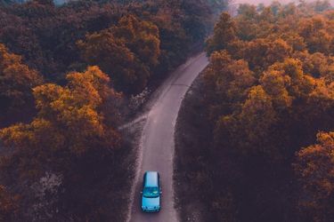 blue car driving through forest