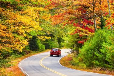 car driving on country road in fall with leaves on the road