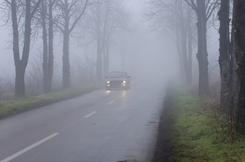 cars driving on rural road in fog