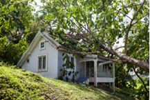 Estimate Home Value For Insurance