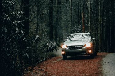 Subaru Forester driving through lush forest