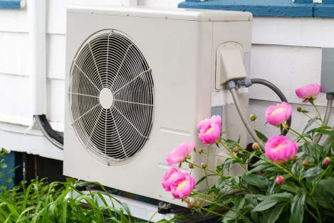 heat pump beside peonies