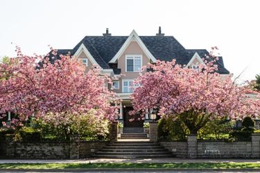 house with magnolias outside