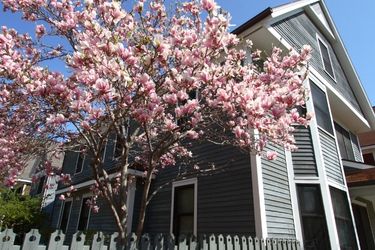 house with pink magnolias in bloom