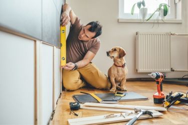 Man with dog measuring wall