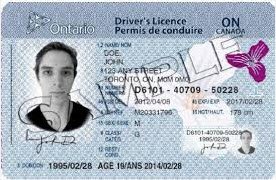Lost Ontario Drivers License And Health Card