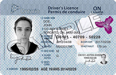 Ontario drivers license sample