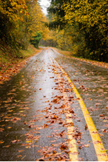 Driving Tips For Slippery Fall Roads Driving Tips For Slippery Fall Roads