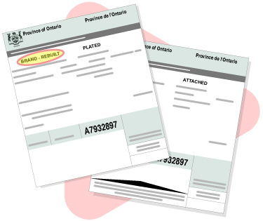 graphic of Ontario registration permit