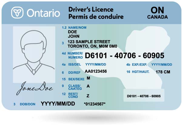 Ontario drivers license graphic