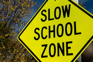 School zone sign with trees behind it
