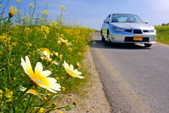 Spring driving tips