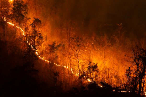 wildfire burning
