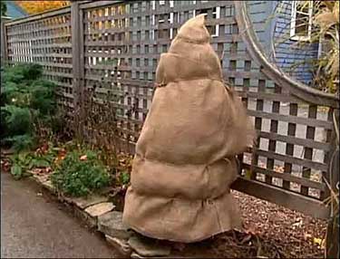 Winter home maintenance tips - wrap shrubs
