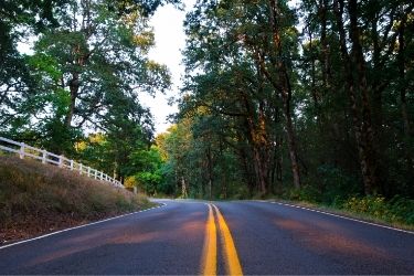 Winding road surronded by forest